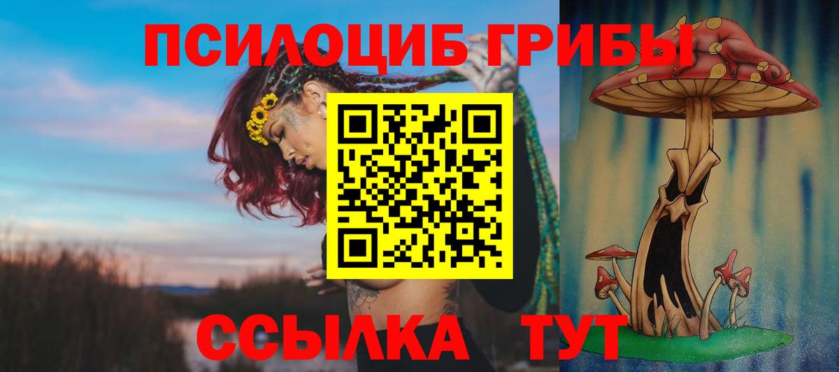 Симферополь  Галлюциногенные грибы Cubensis  Вход с VPN 